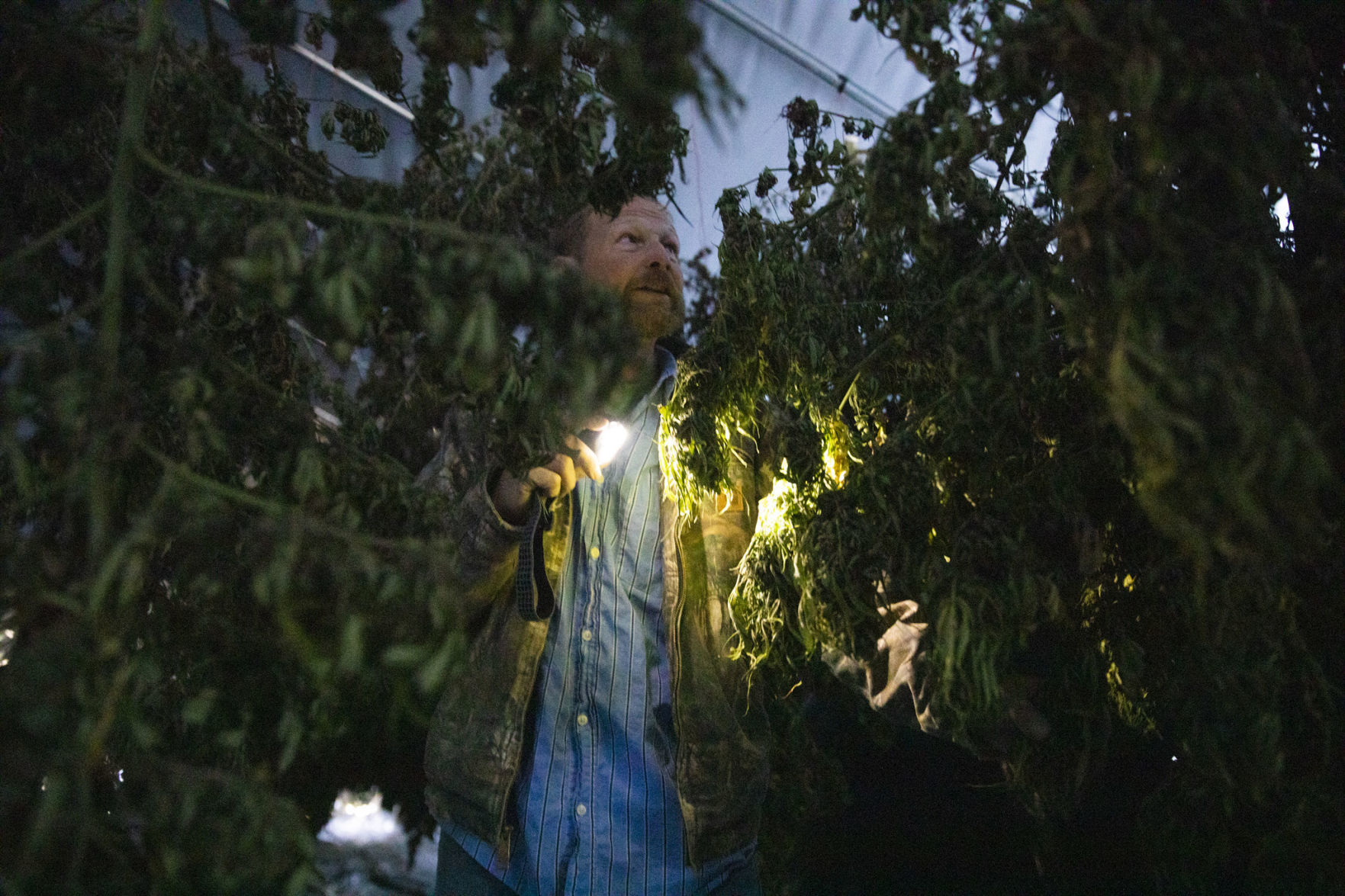 BIZ-MANY-ILLINOIS-FARMERS-BET-BIG-1-TB.jpg